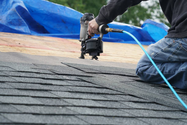 Best Storm Damage Roof Repair  in Washington Park, IL