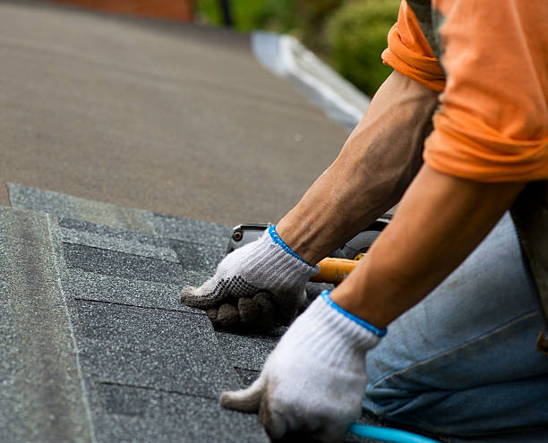 Best Emergency Roof Repair  in Washington Park, IL